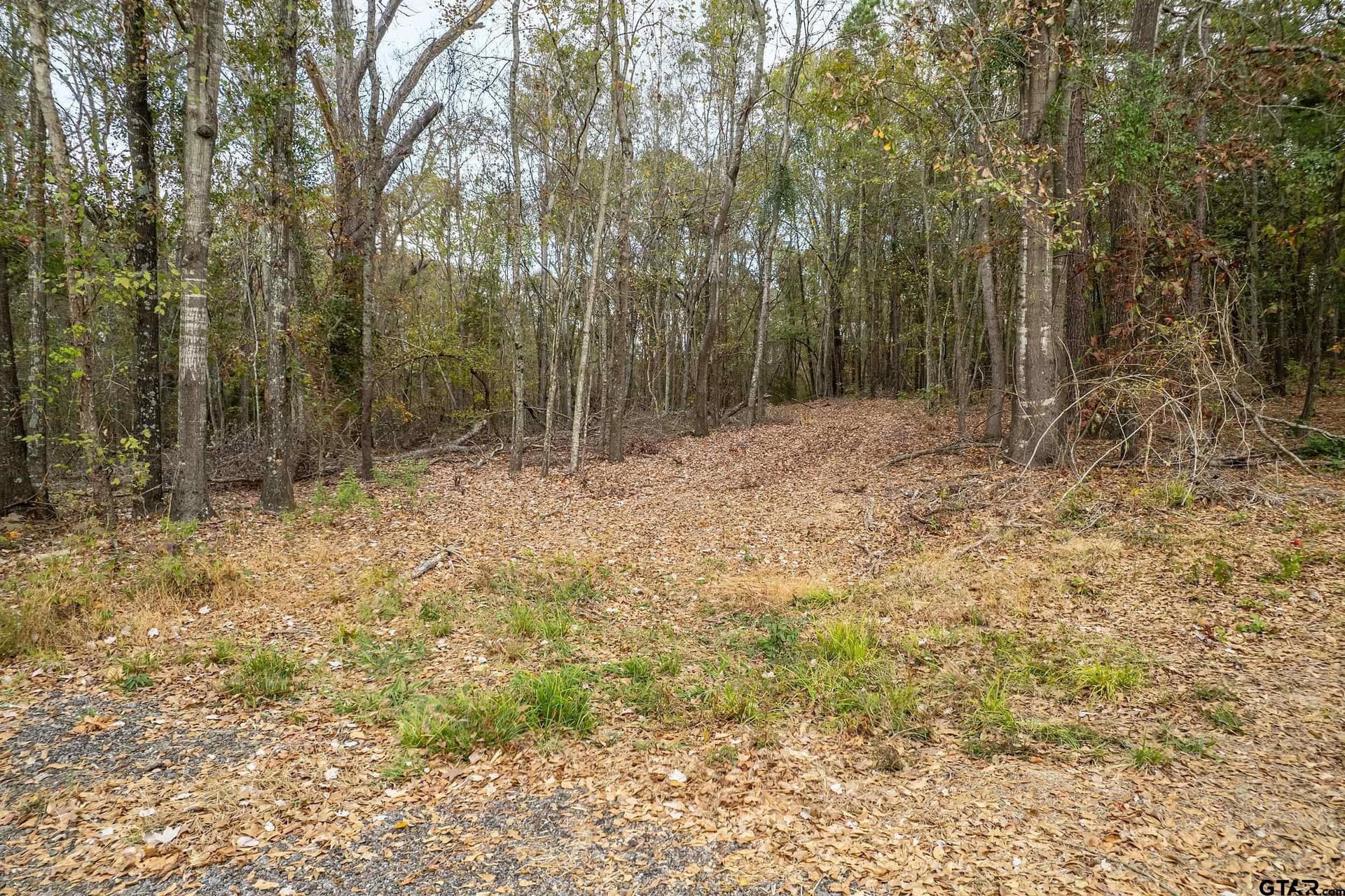 10.12 acres in Smith County - photo 4