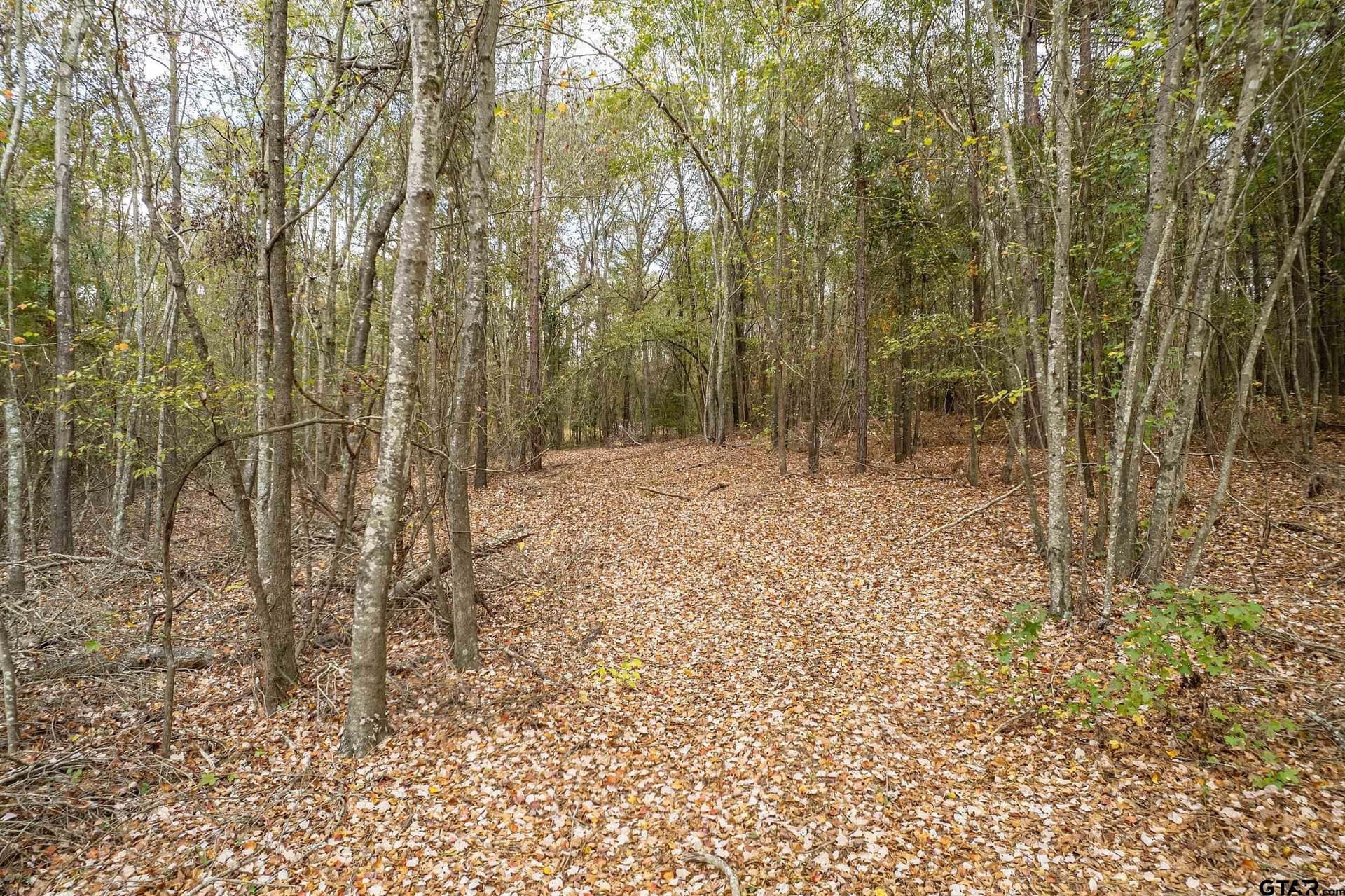 10.12 acres in Smith County - photo 7
