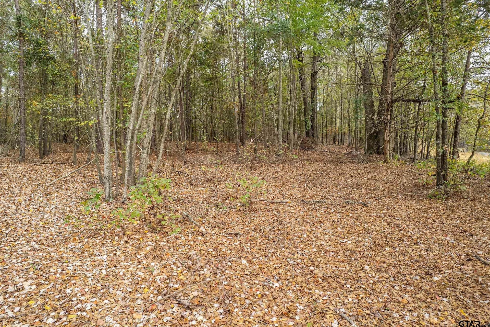 10.12 acres in Smith County - photo 6