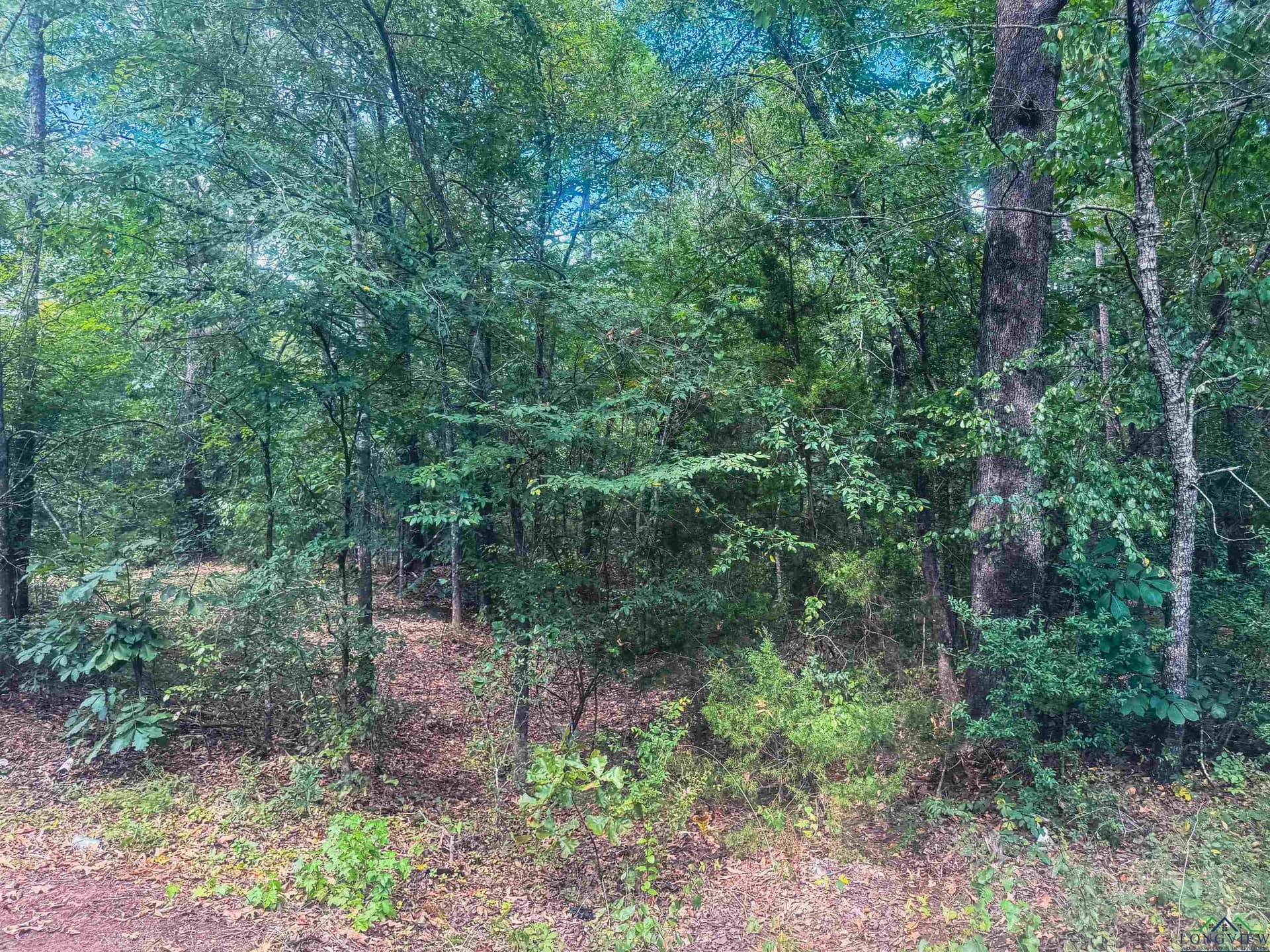 2.5 acres in Texas County - photo 5