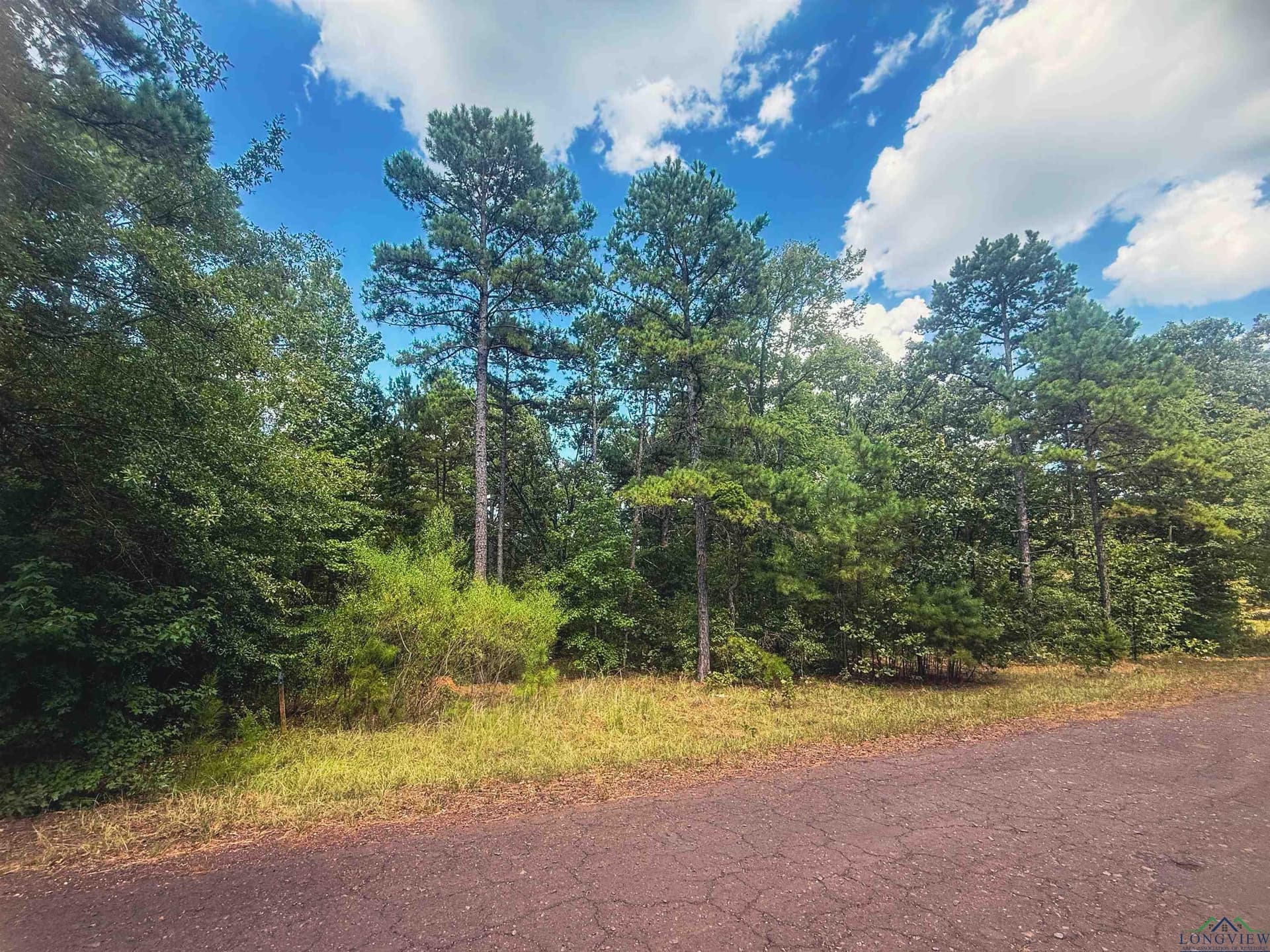 2.5 acres in Texas County - photo 4