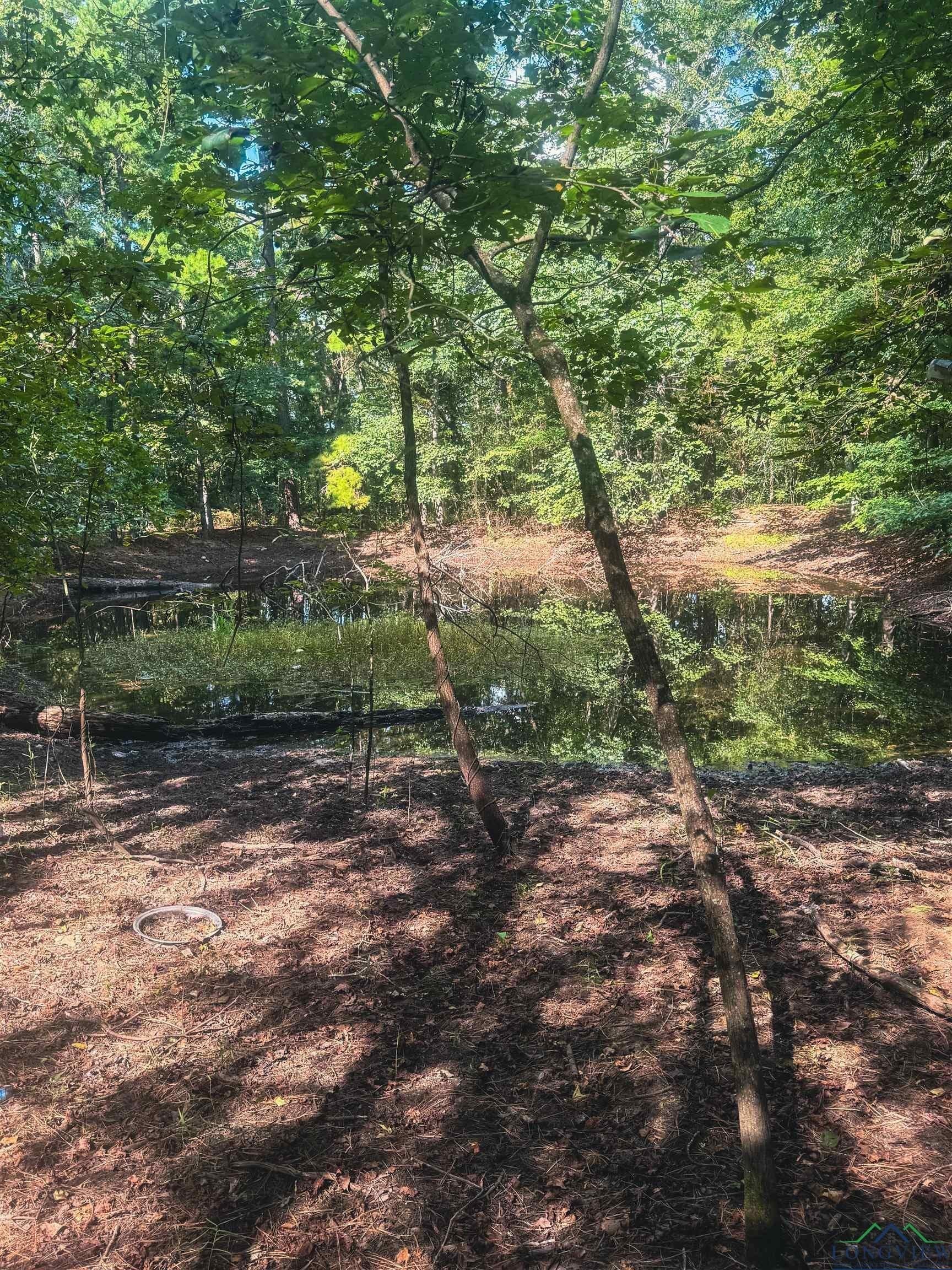 2.5 acres in Texas County - photo 6