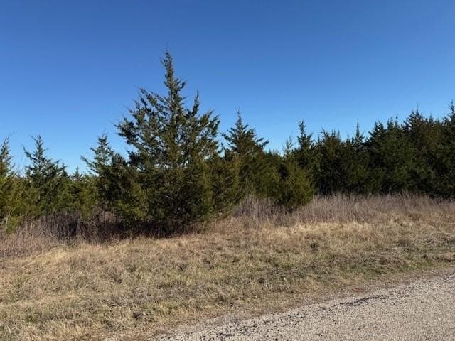 10.19 acres in Lamar County - photo 3
