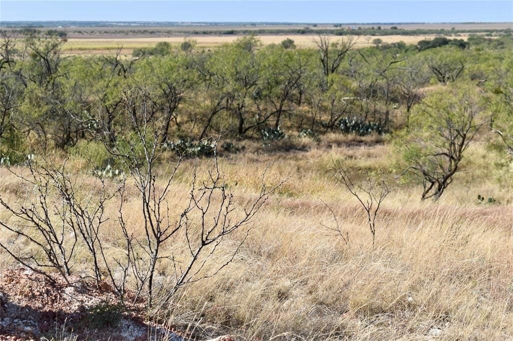 179.96 acres in McCulloch County - photo 3