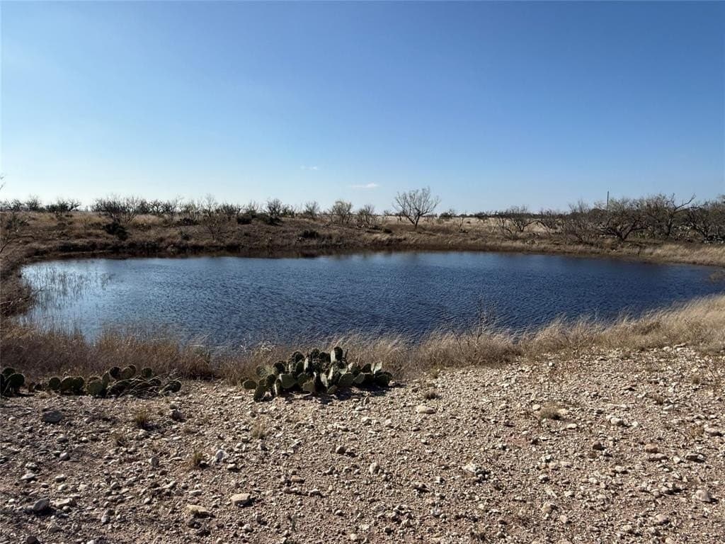 179.96 acres in McCulloch County - photo 2