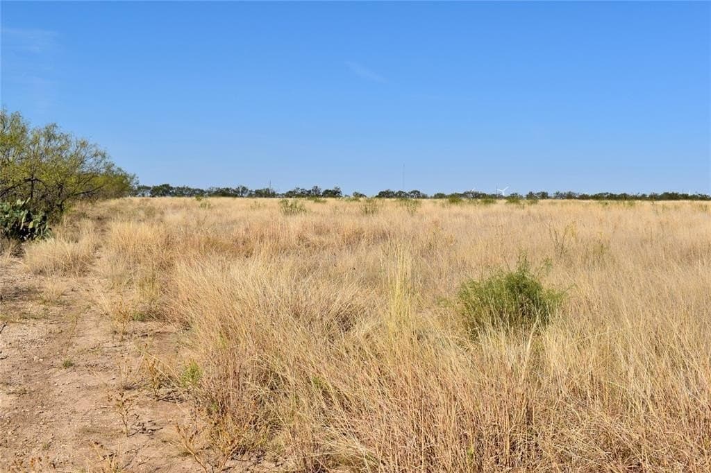 179.96 acres in McCulloch County - photo 39