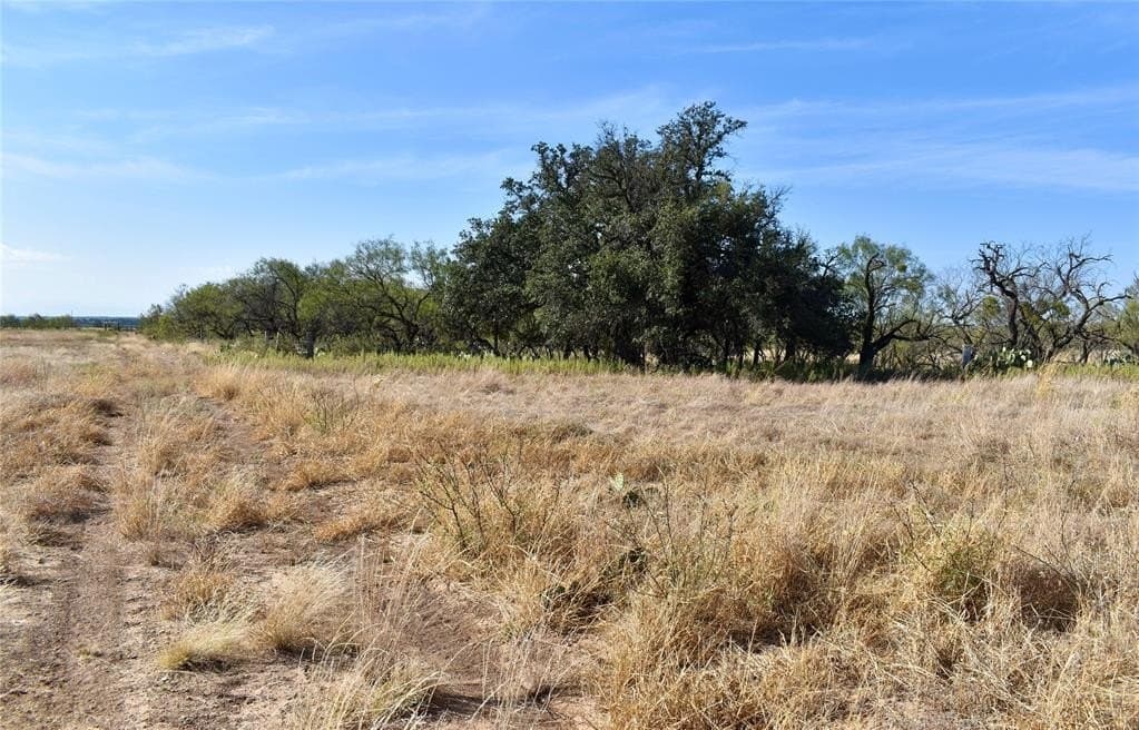 179.96 acres in McCulloch County - photo 29