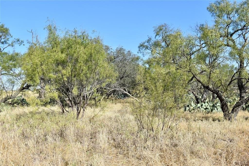 179.96 acres in McCulloch County - photo 35