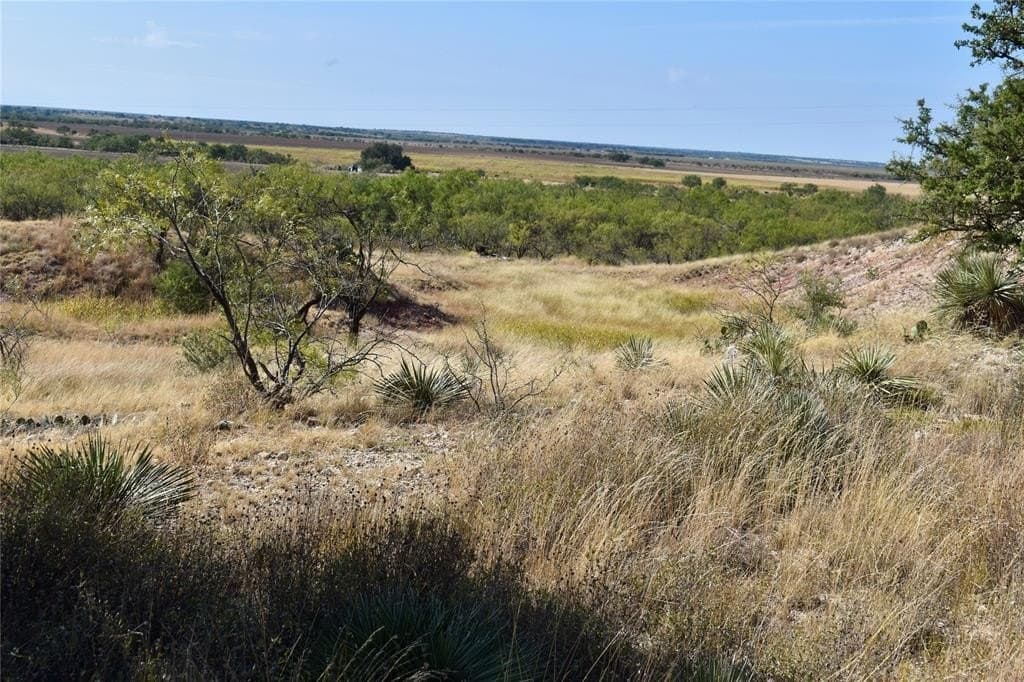 179.96 acres in McCulloch County - photo 4