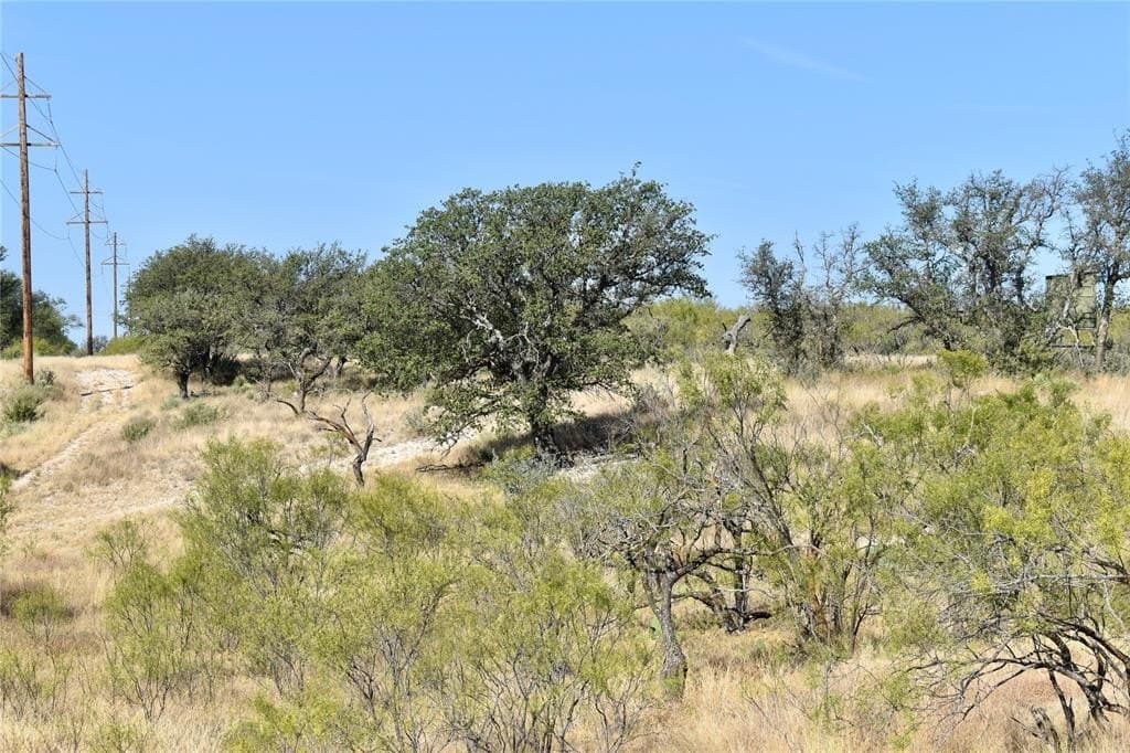 179.96 acres in McCulloch County - photo 24
