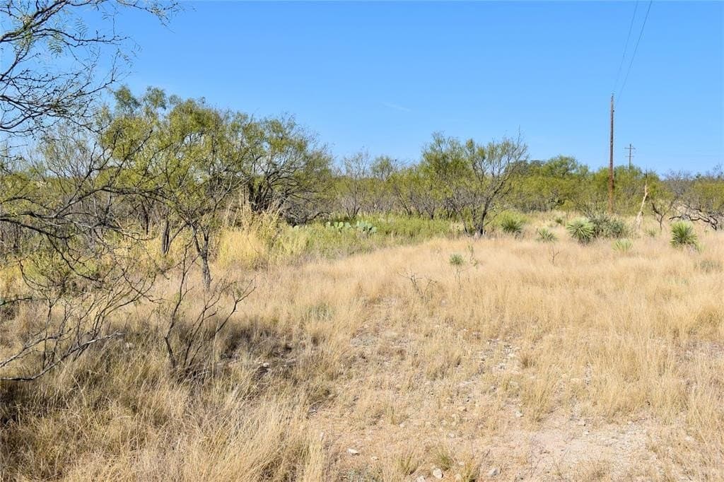 179.96 acres in McCulloch County - photo 31