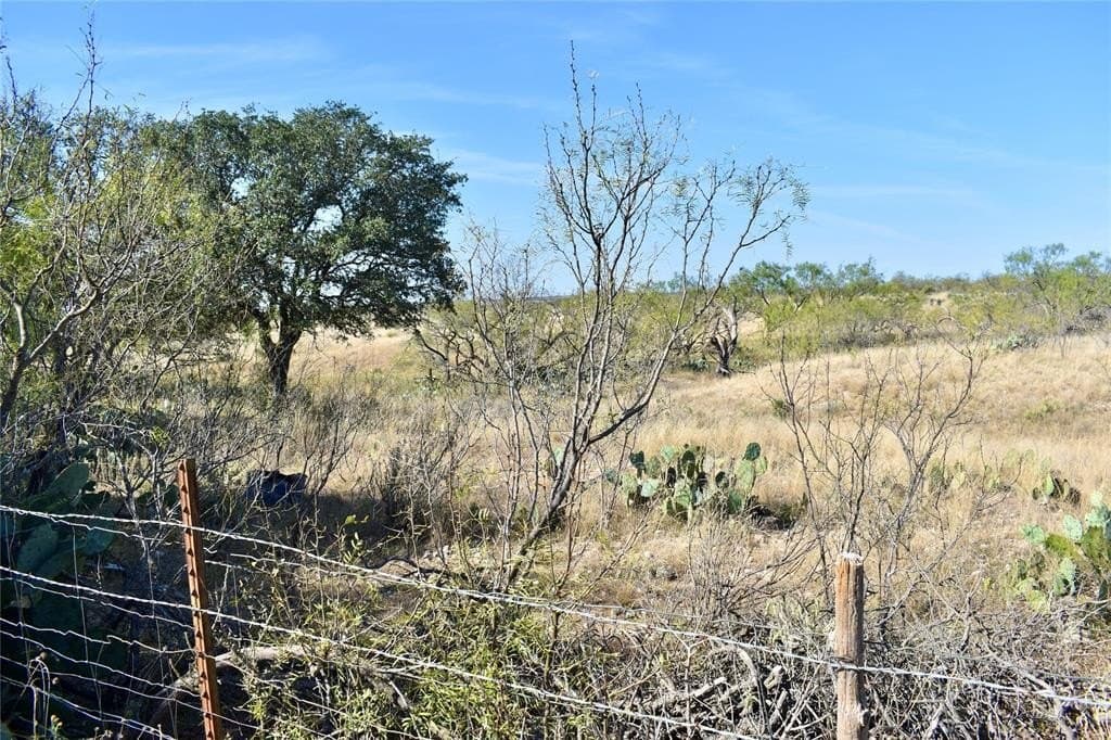 179.96 acres in McCulloch County - photo 38