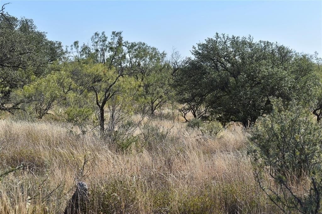 179.96 acres in McCulloch County - photo 40