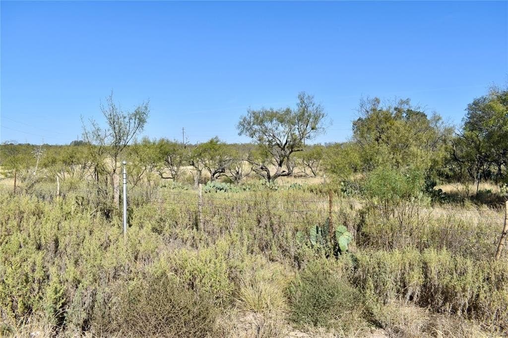 179.96 acres in McCulloch County - photo 5