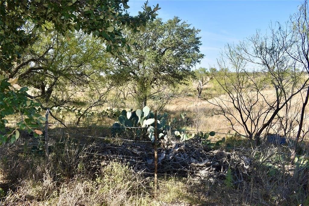 179.96 acres in McCulloch County - photo 36