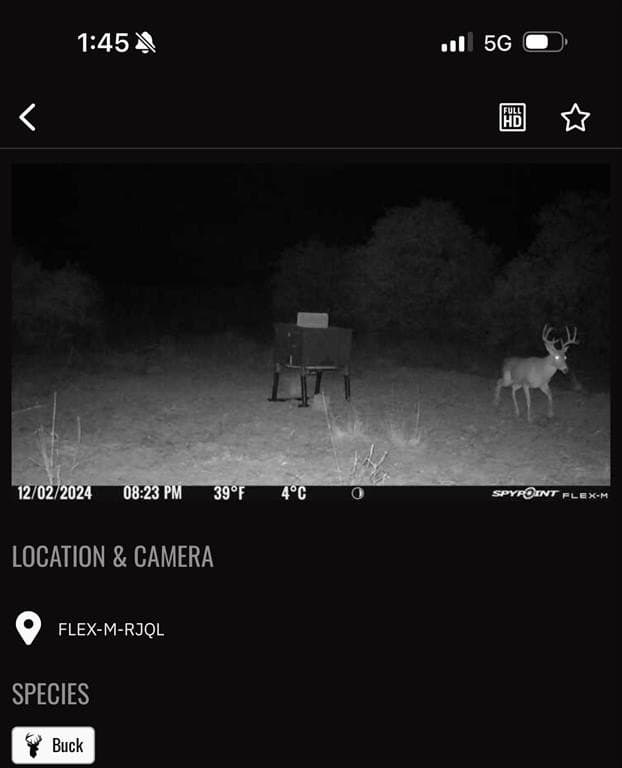 58 acres in Baylor County - photo 6