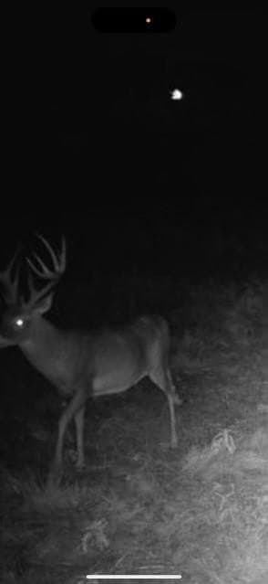 58 acres in Baylor County - photo 5