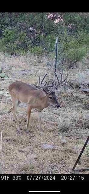 58 acres in Baylor County - photo 7