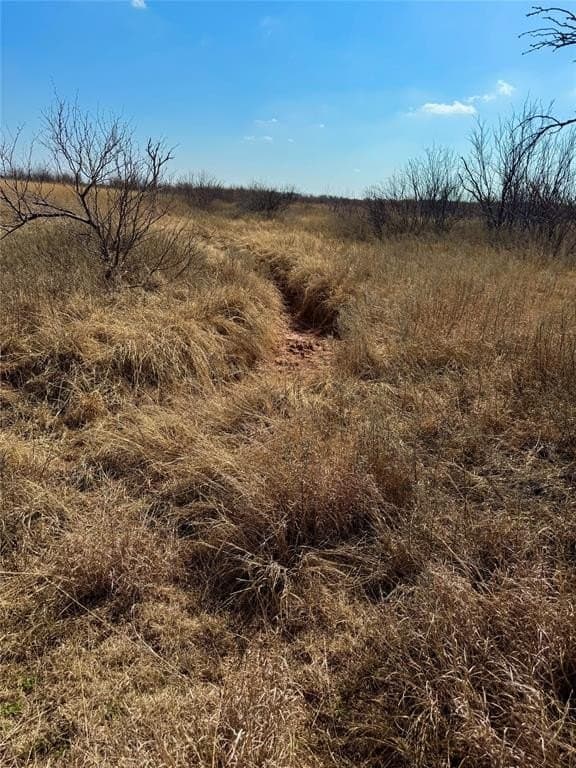58 acres in Baylor County - photo 14