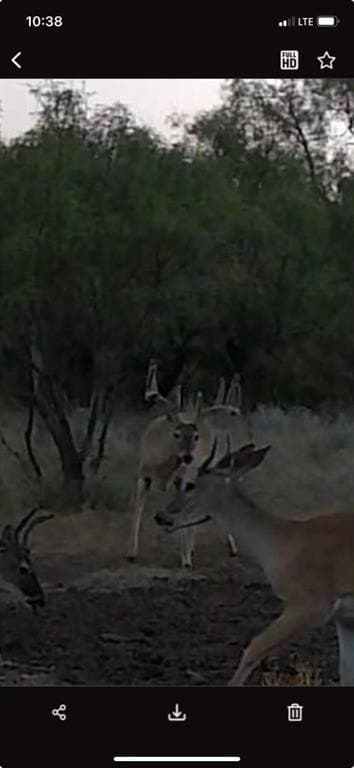 58 acres in Baylor County - photo 4