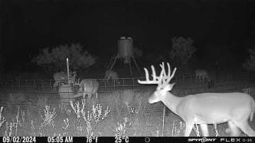 58 acres in Baylor County - photo 3