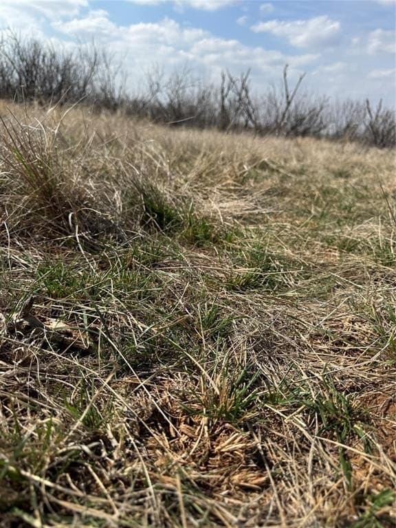 58 acres in Baylor County - photo 17