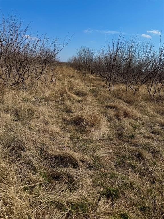 58 acres in Baylor County - photo 16
