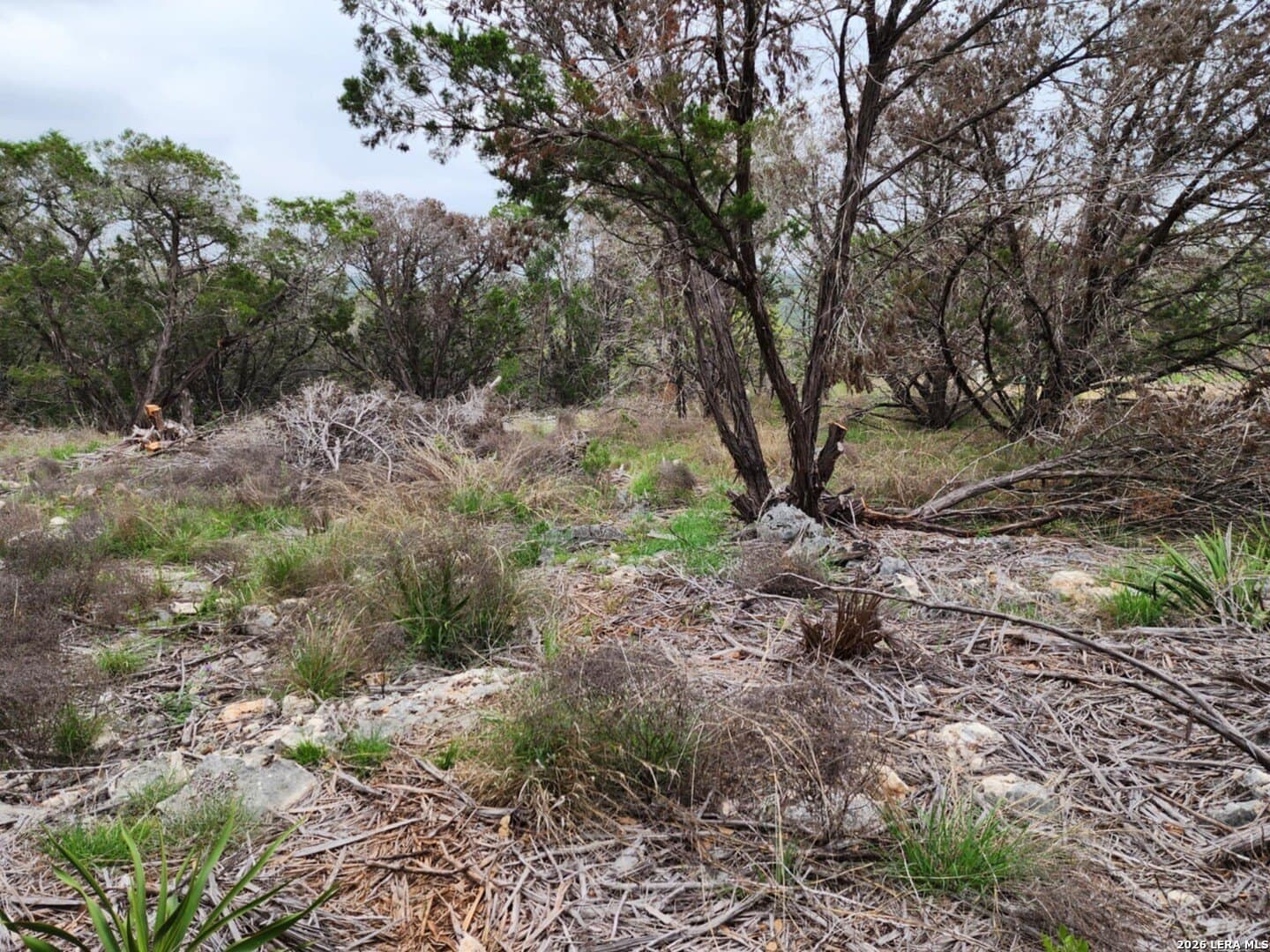 1.17 acres in Comal County - photo 9