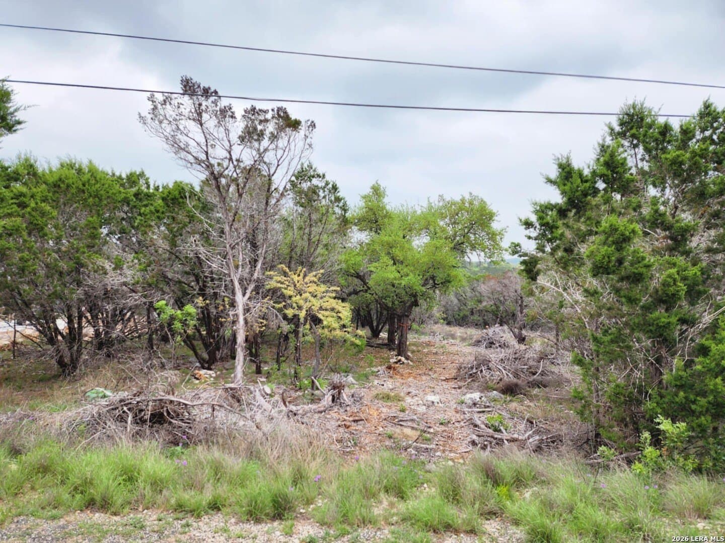 1.17 acres in Comal County - photo 4