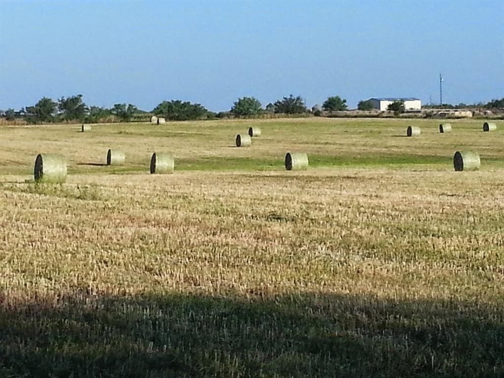 9.49 acres in Callahan County - photo 8