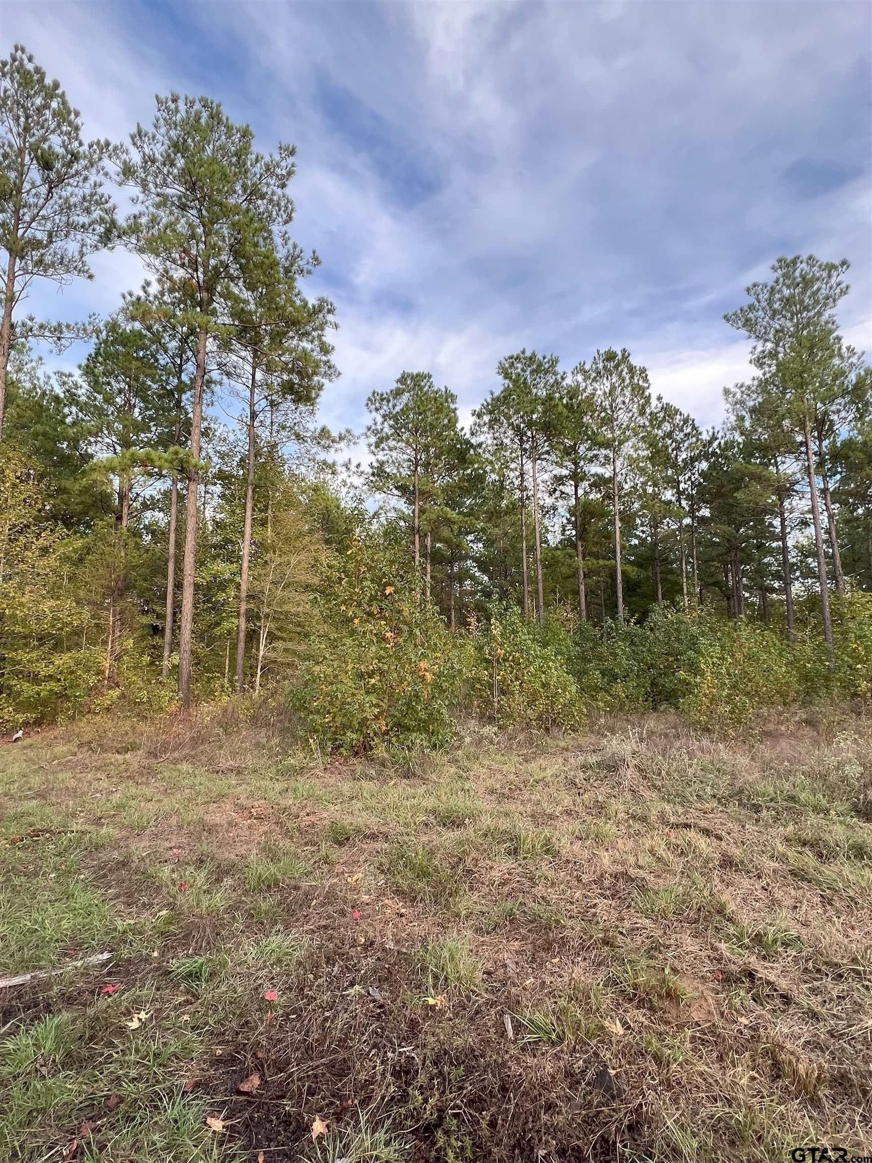 200.21 acres in Cass County - photo 31