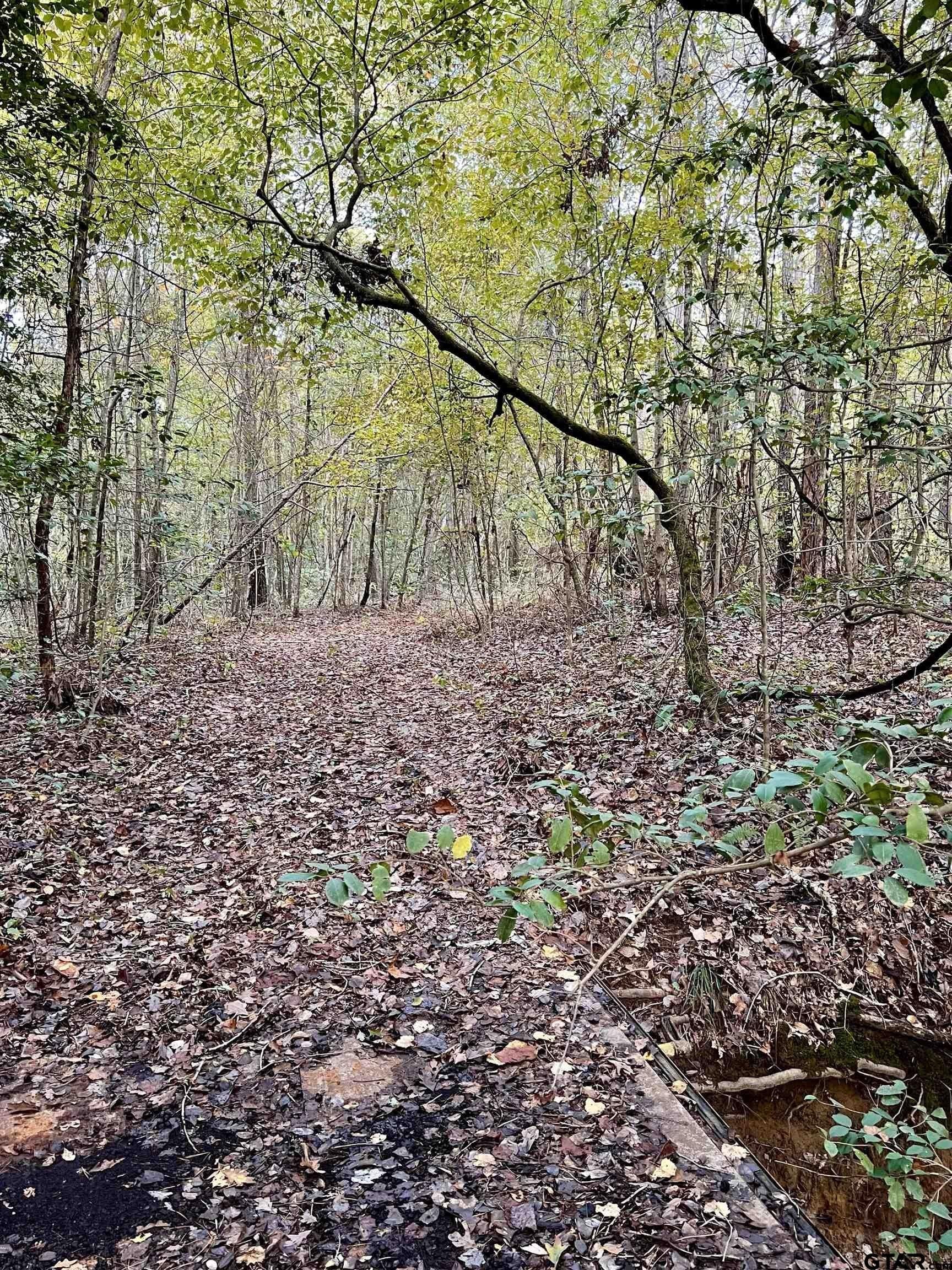 200.21 acres in Cass County - photo 13