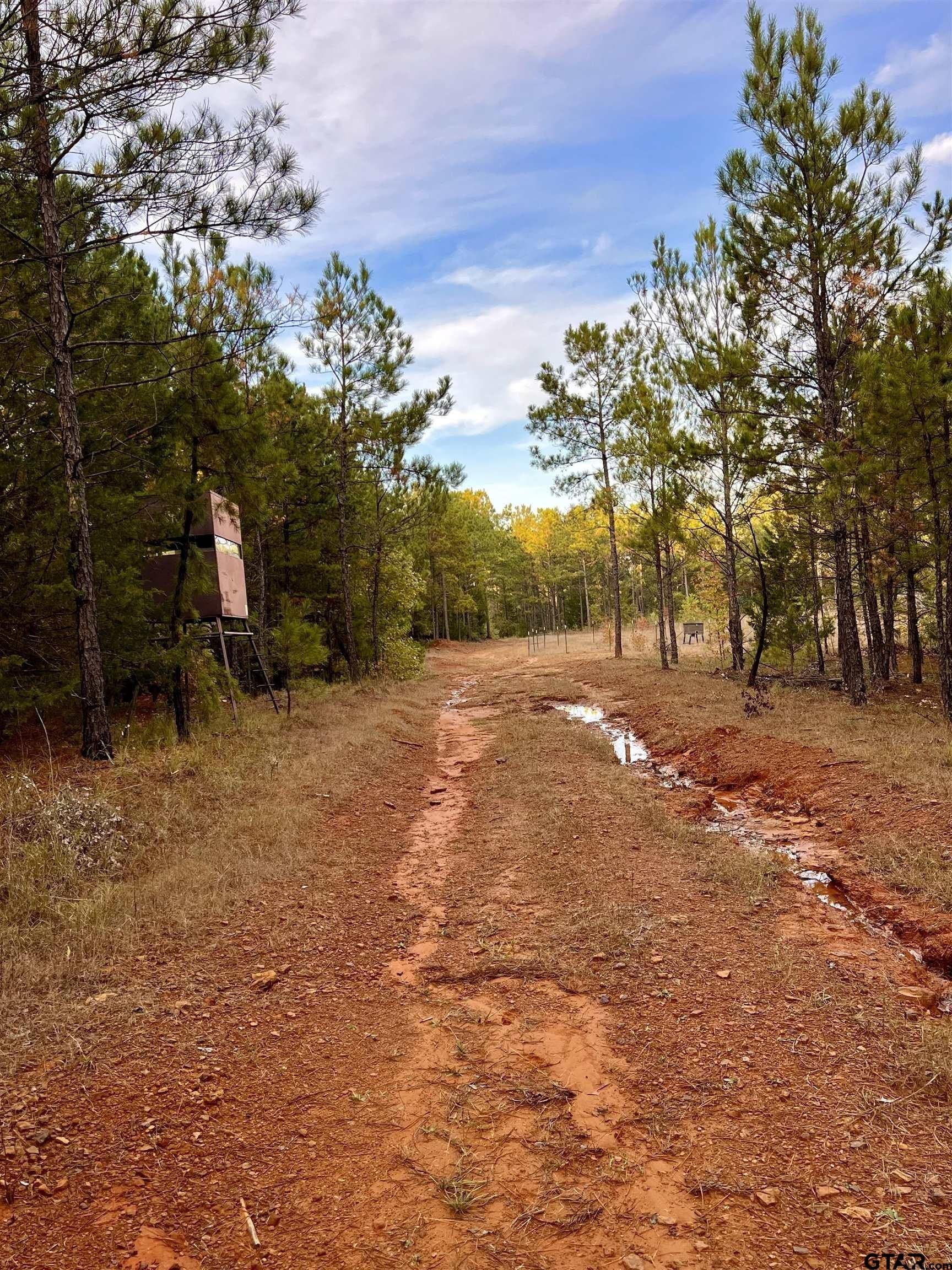 200.21 acres in Cass County - photo 18
