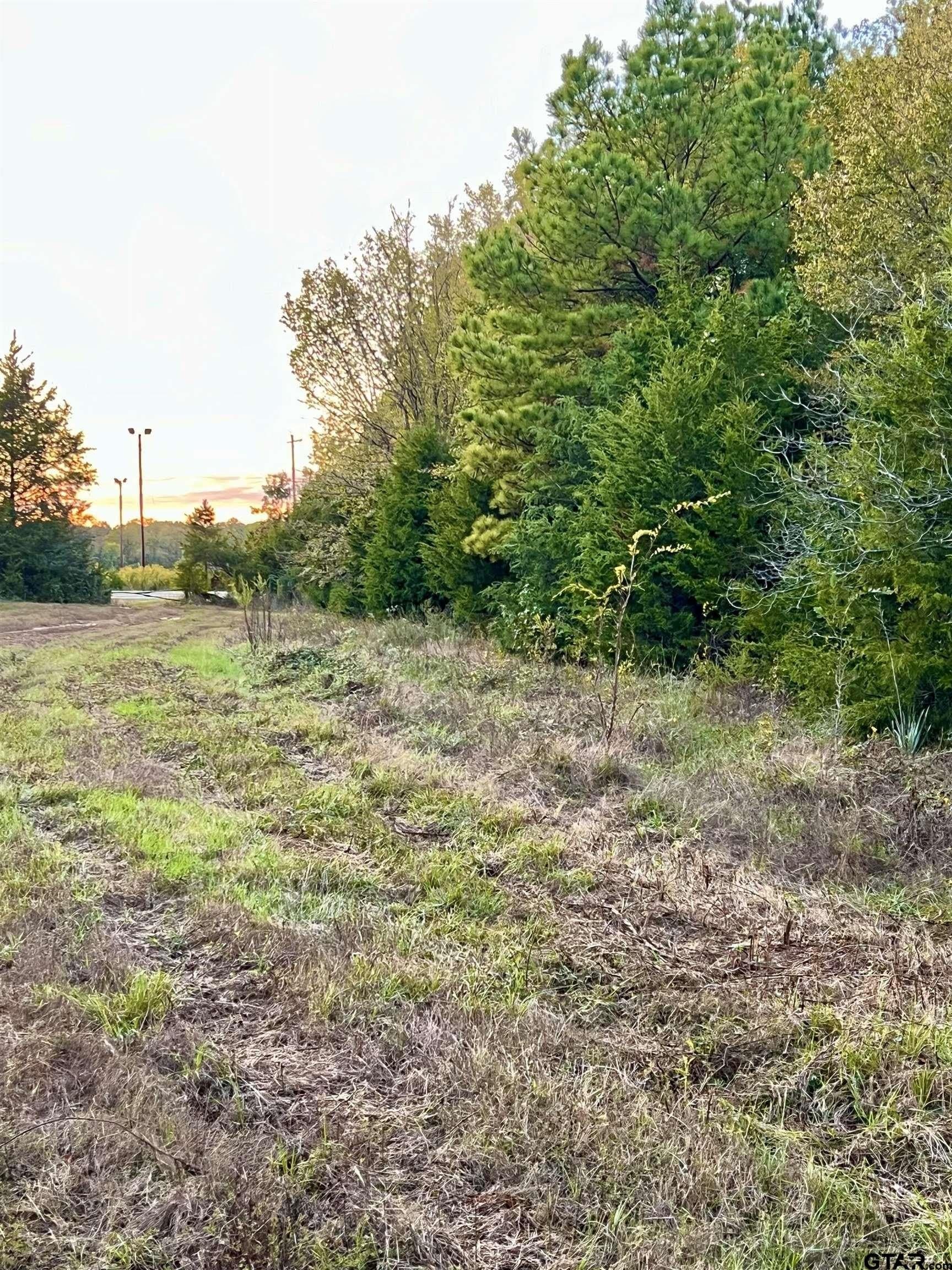 200.21 acres in Cass County - photo 3