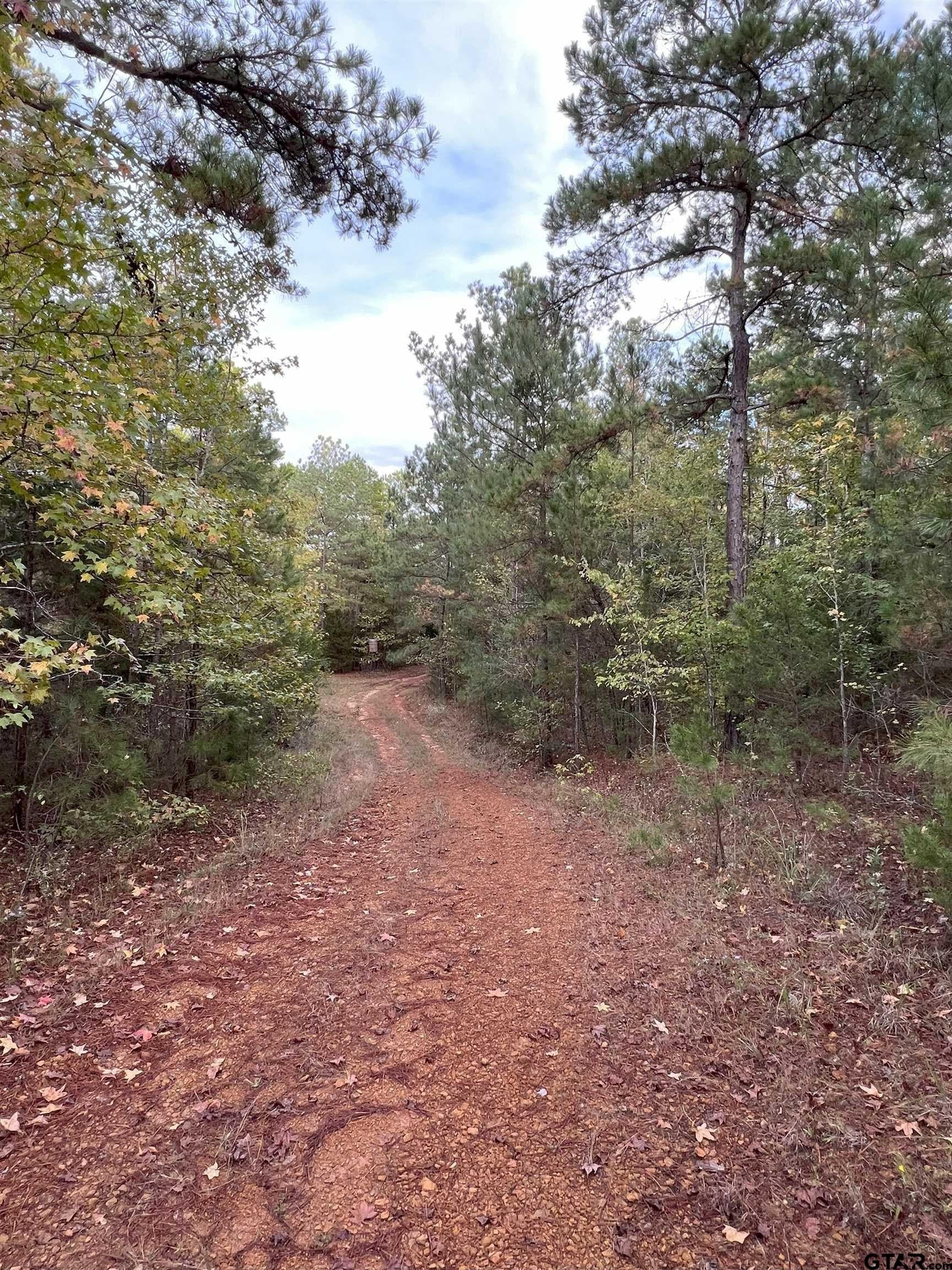 200.21 acres in Cass County - photo 29