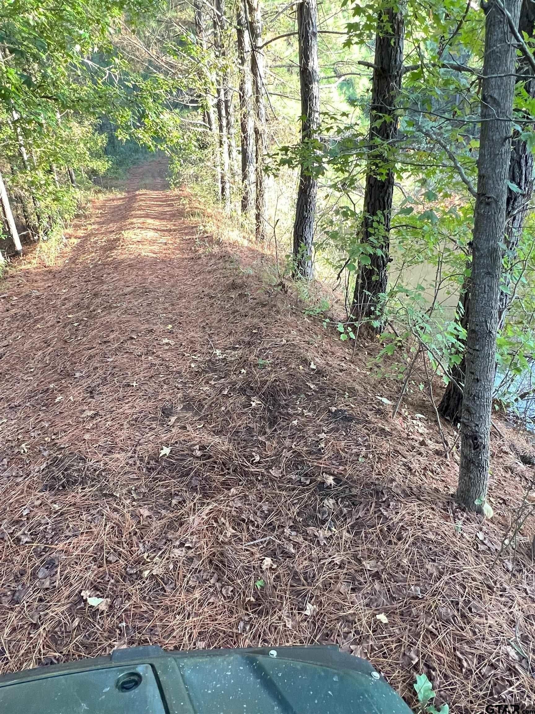 200.21 acres in Cass County - photo 24