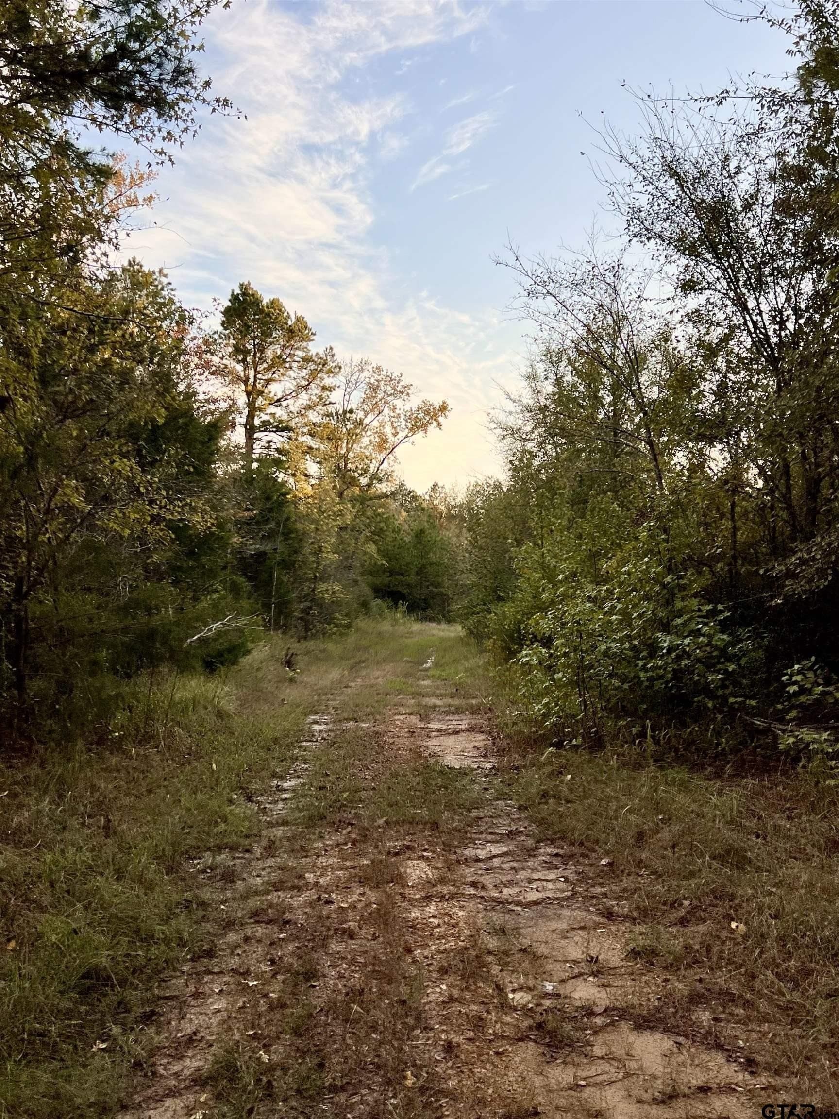 200.21 acres in Cass County - photo 9