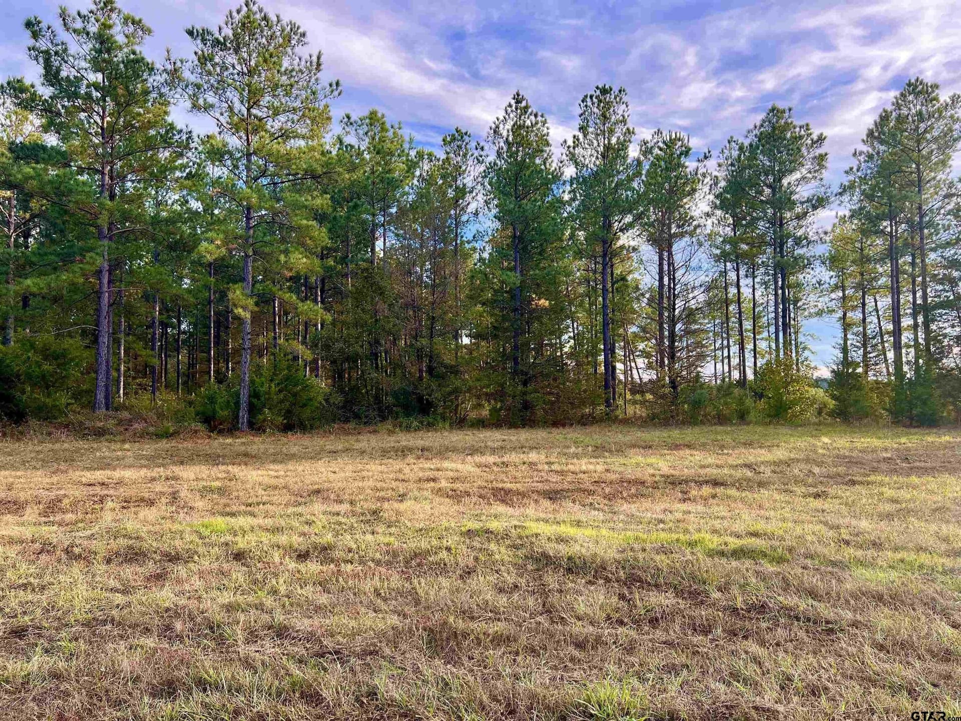 200.21 acres in Cass County - photo 35