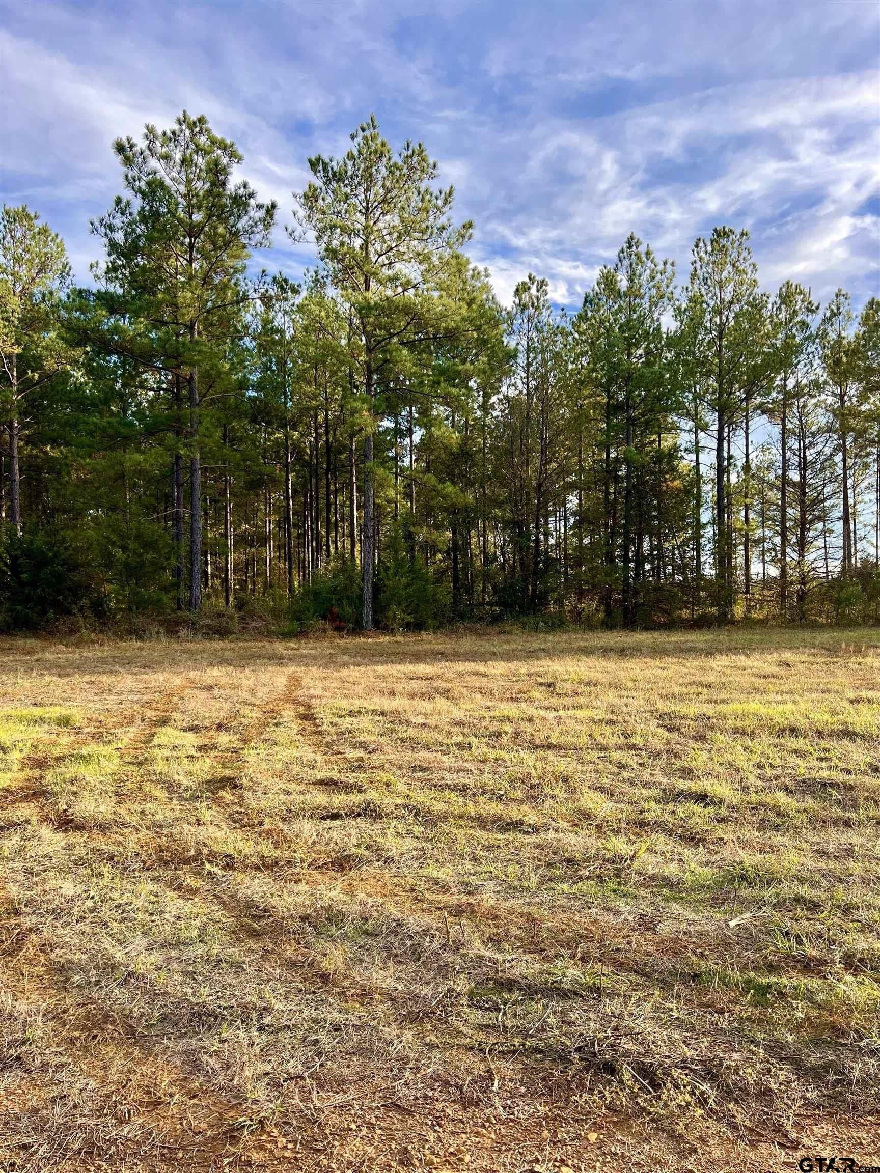 200.21 acres in Cass County - photo 33