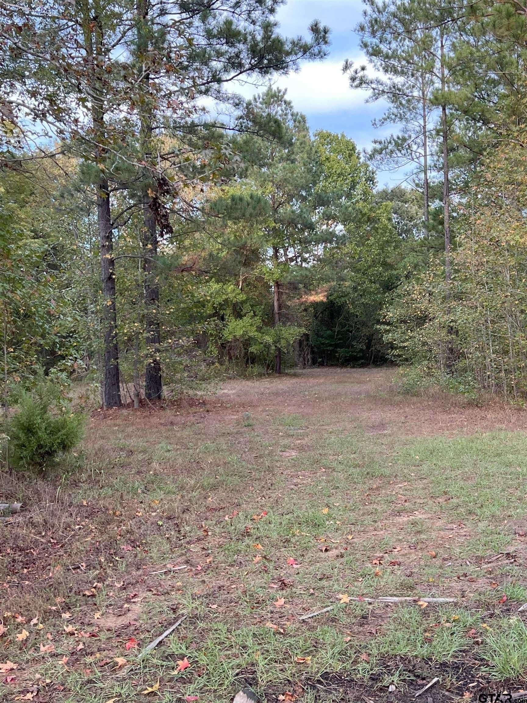 200.21 acres in Cass County - photo 32