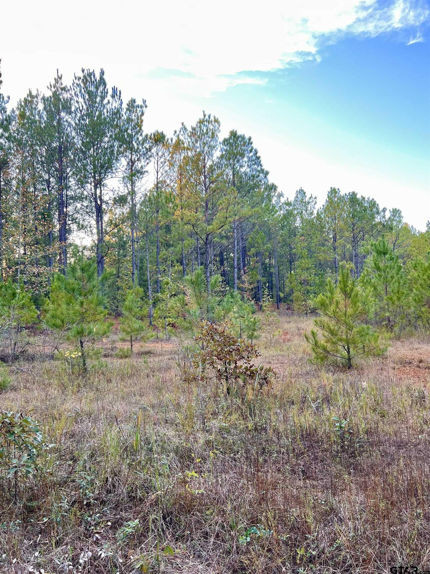 200.21 acres in Cass County - photo 10