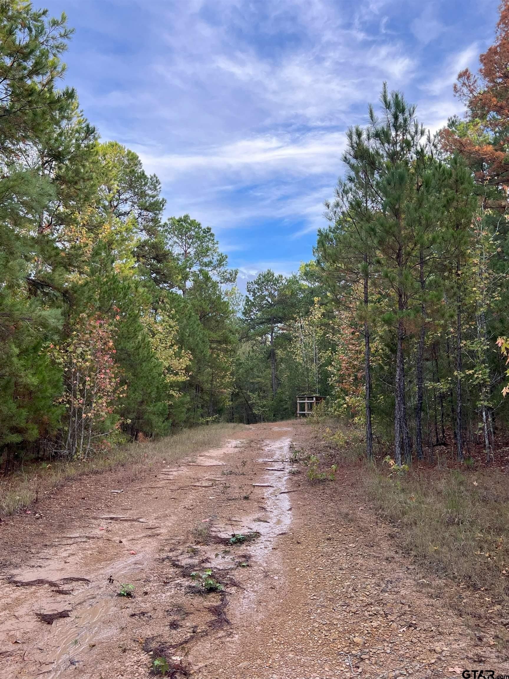 200.21 acres in Cass County - photo 30