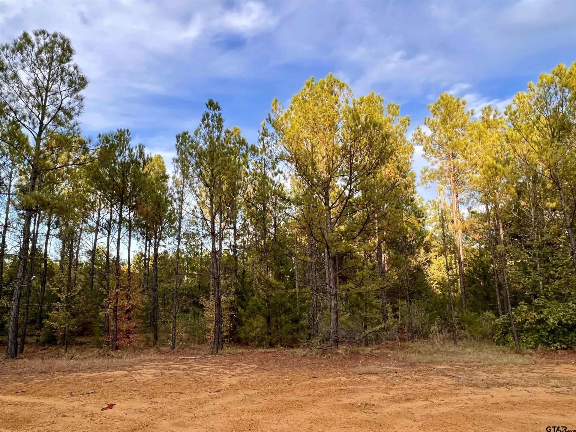 200.21 acres in Cass County - photo 21