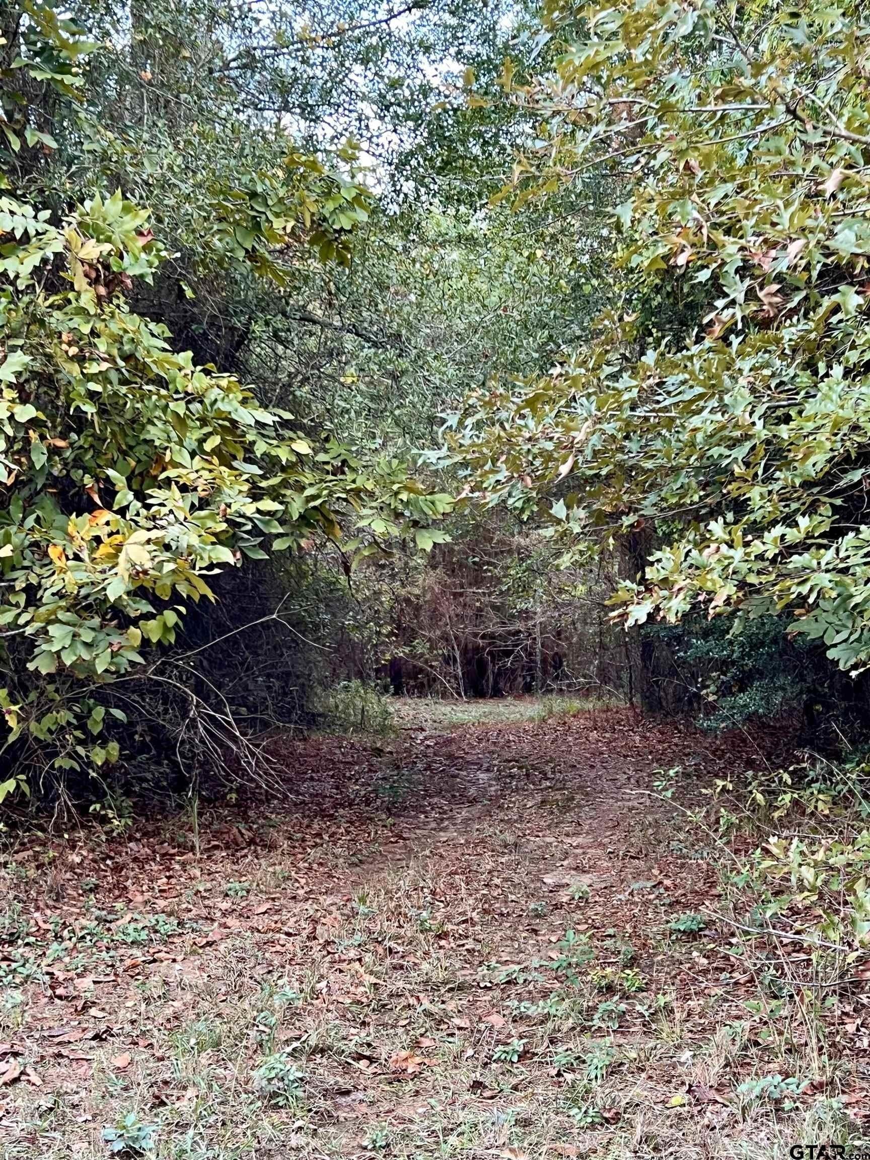 200.21 acres in Cass County - photo 6