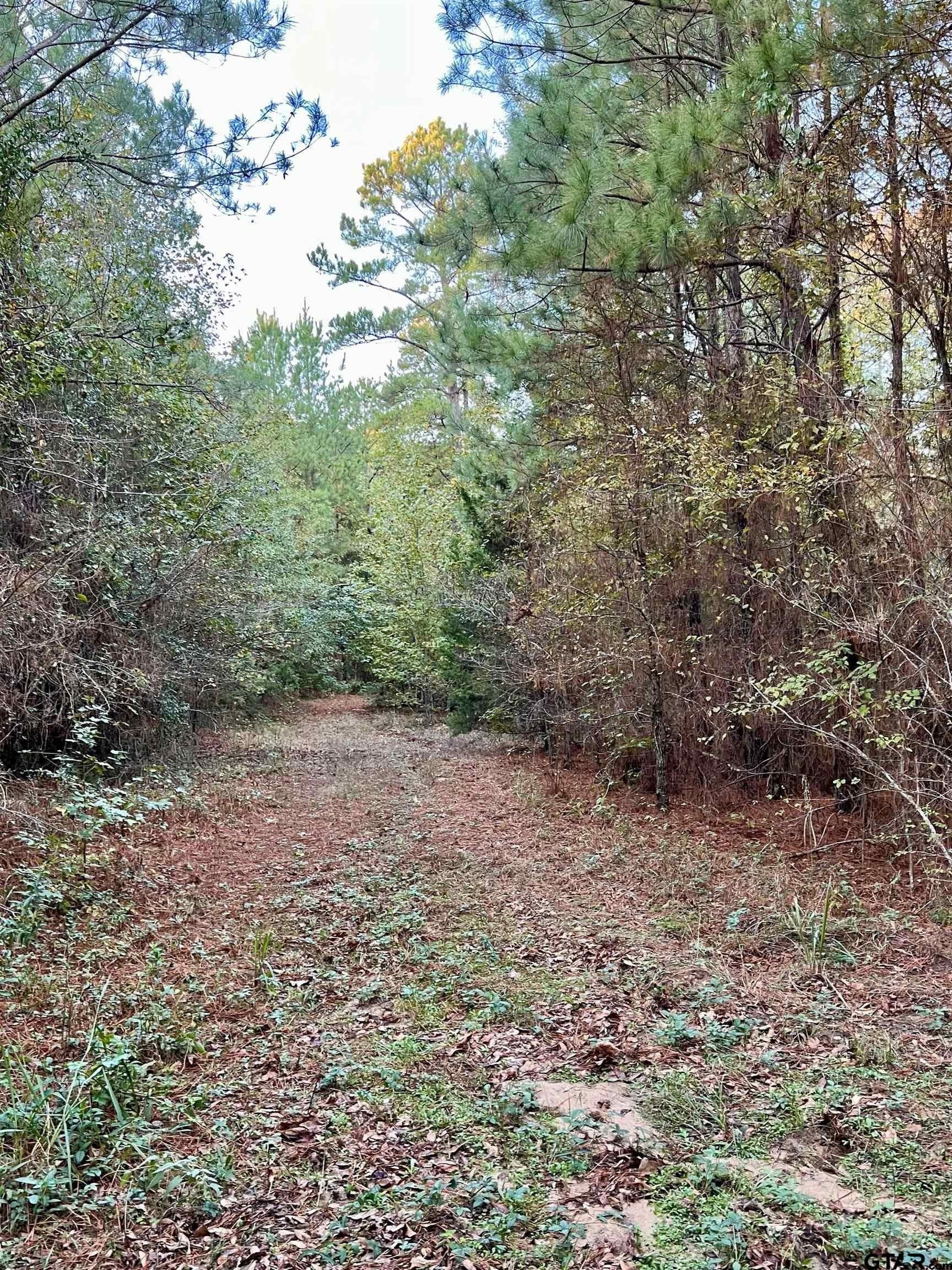 200.21 acres in Cass County - photo 5