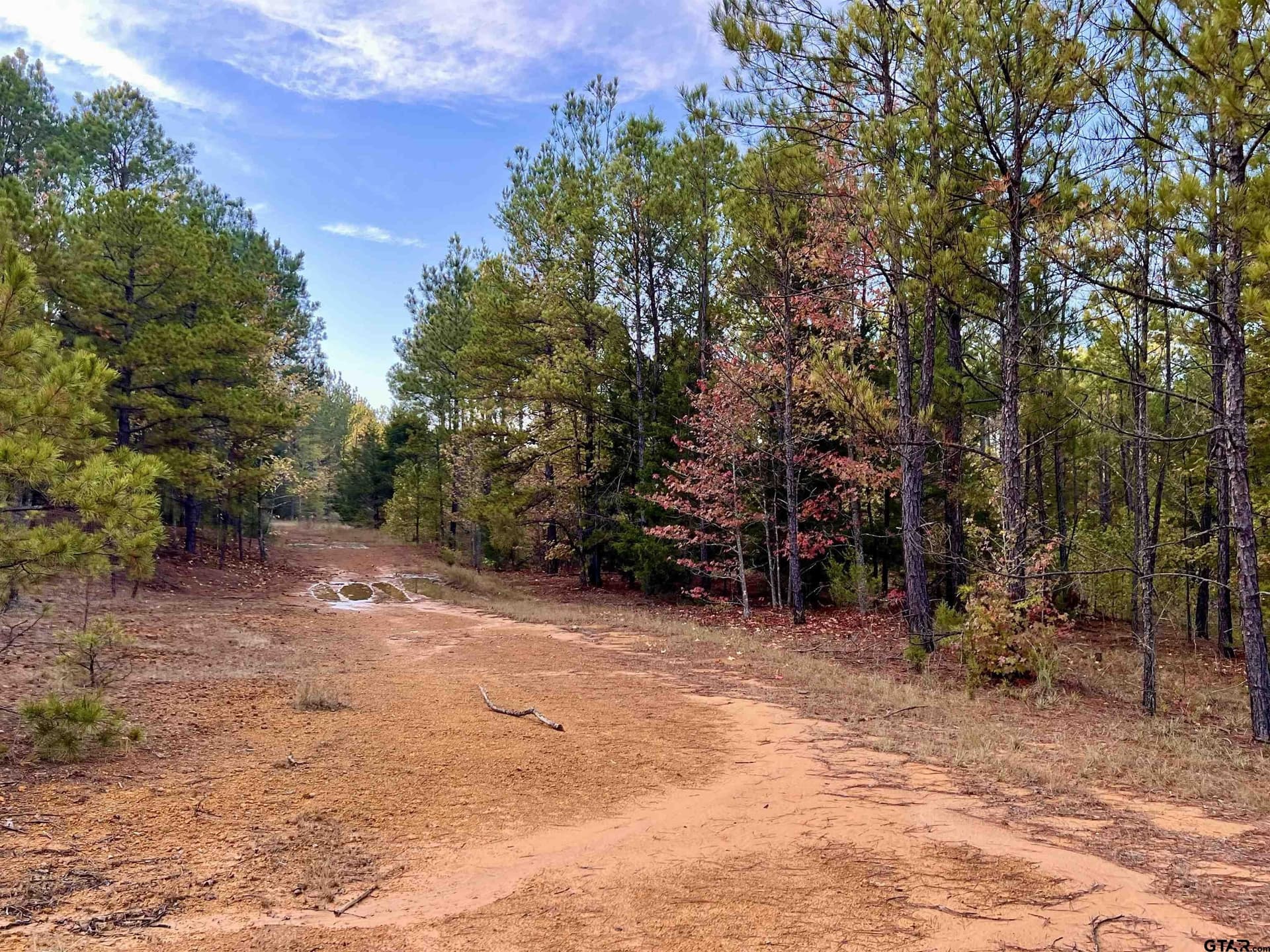 200.21 acres in Cass County - photo 20