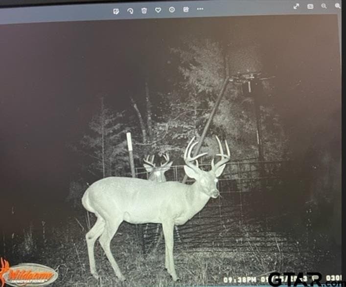 200.21 acres in Cass County - photo 36
