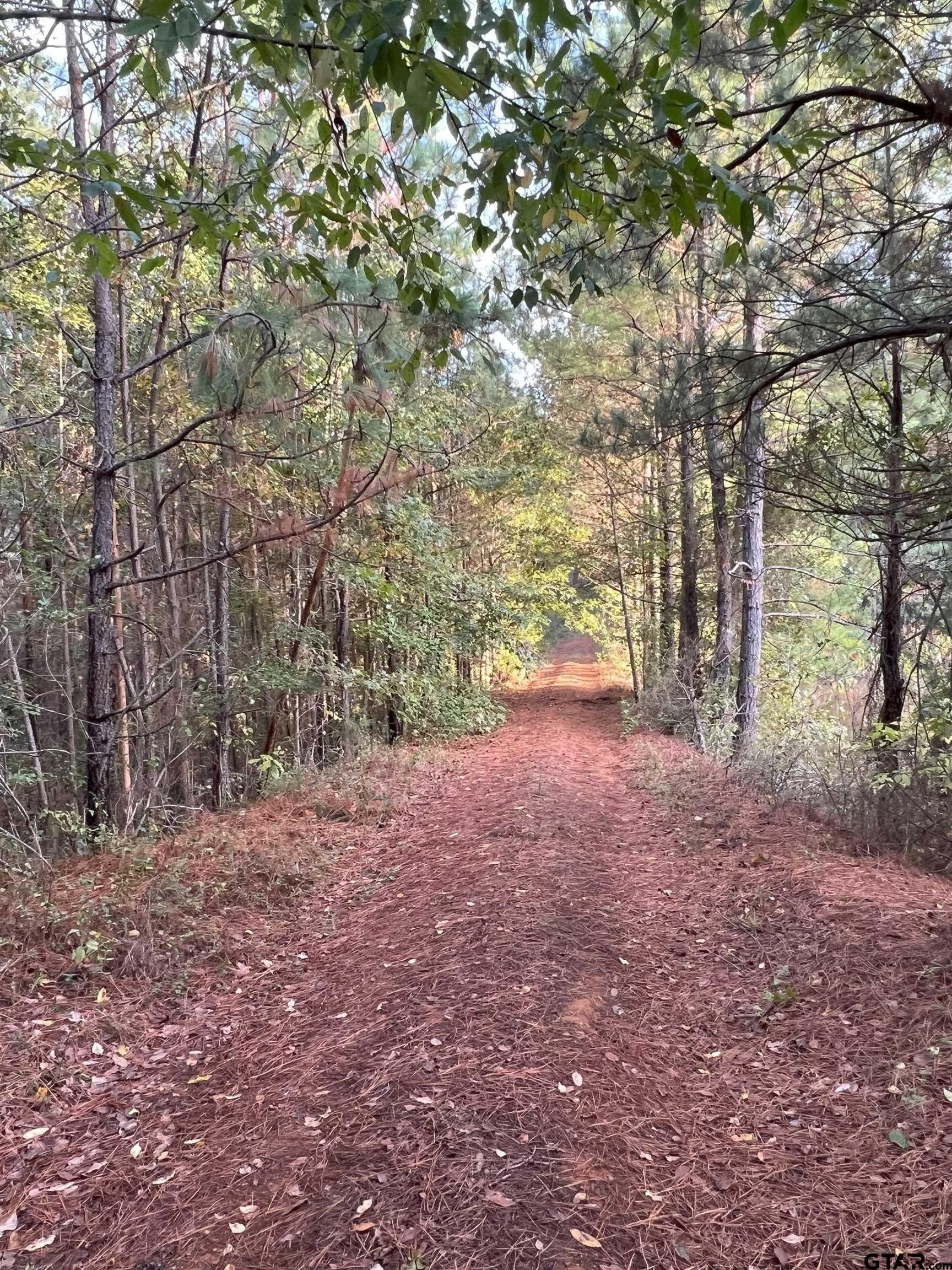 200.21 acres in Cass County - photo 26