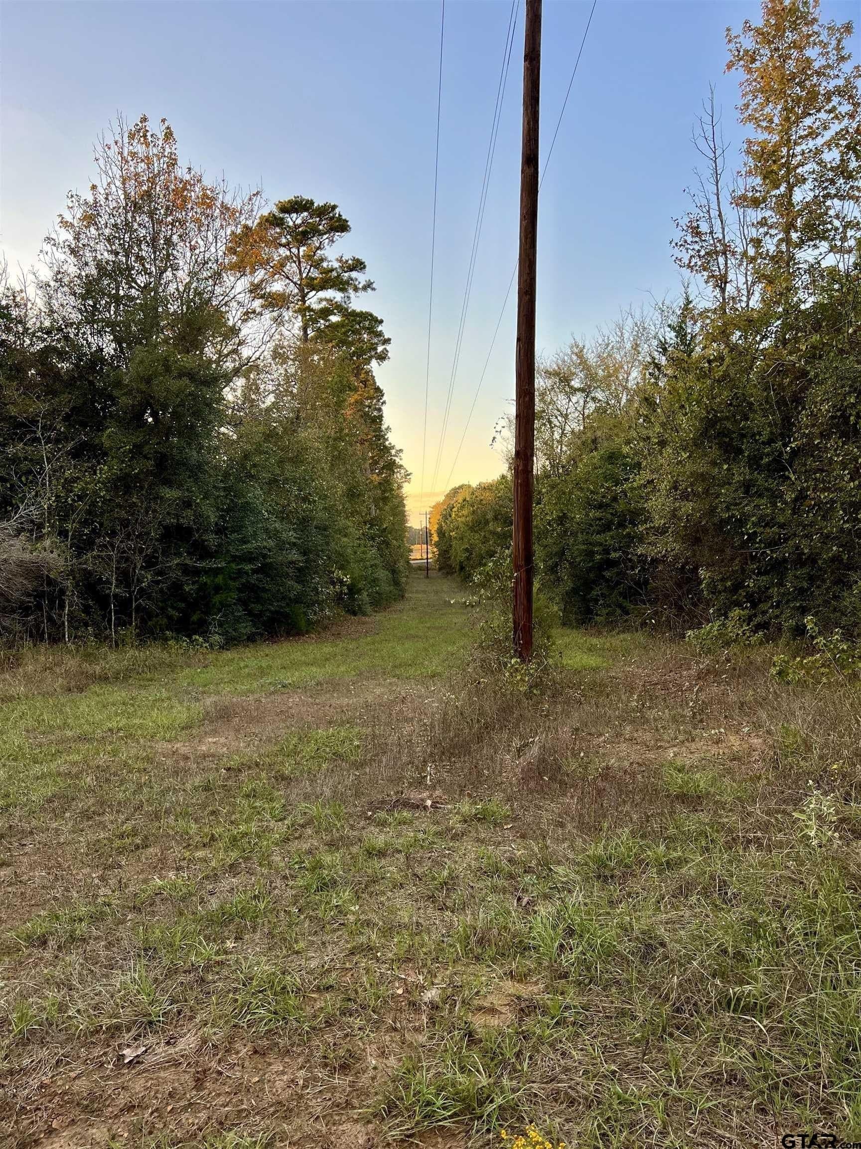200.21 acres in Cass County - photo 7