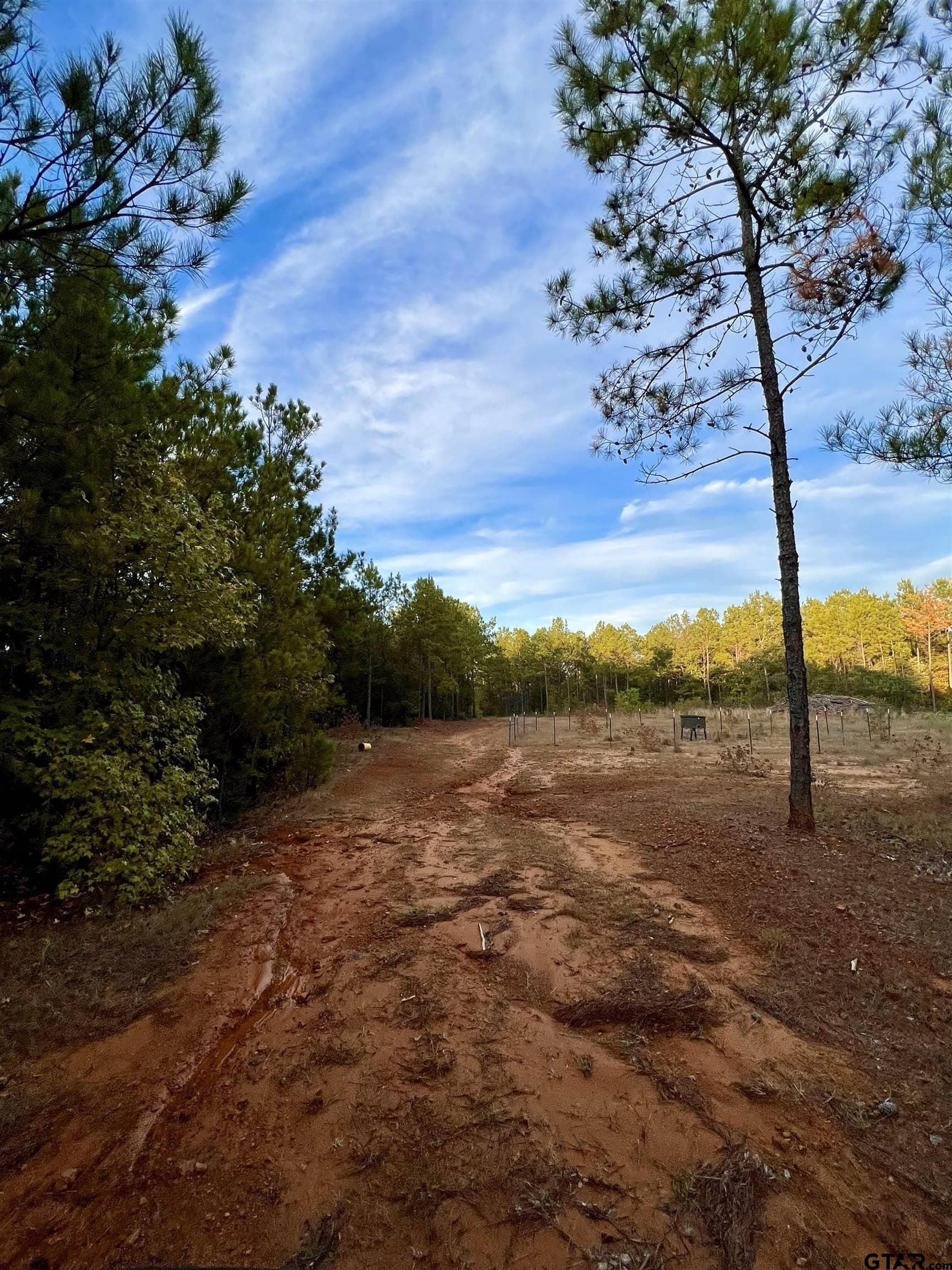 200.21 acres in Cass County - photo 17